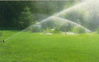 A wide lawn with active water-sprinklers
