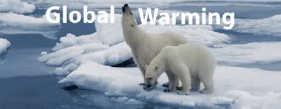 Two polar bears on fragmented ice floes - symbolic of global warming